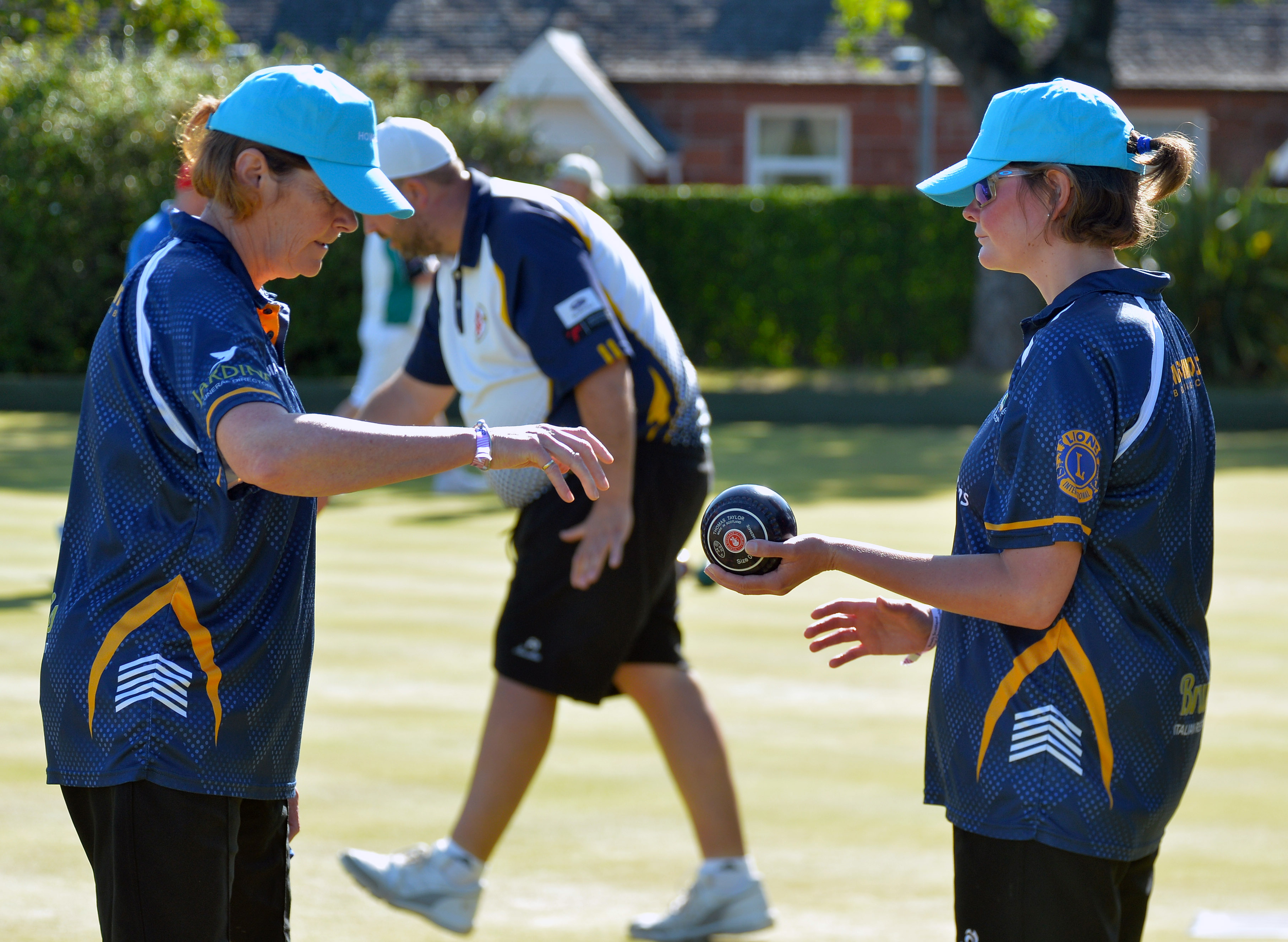 Disability Landscape Survey Results